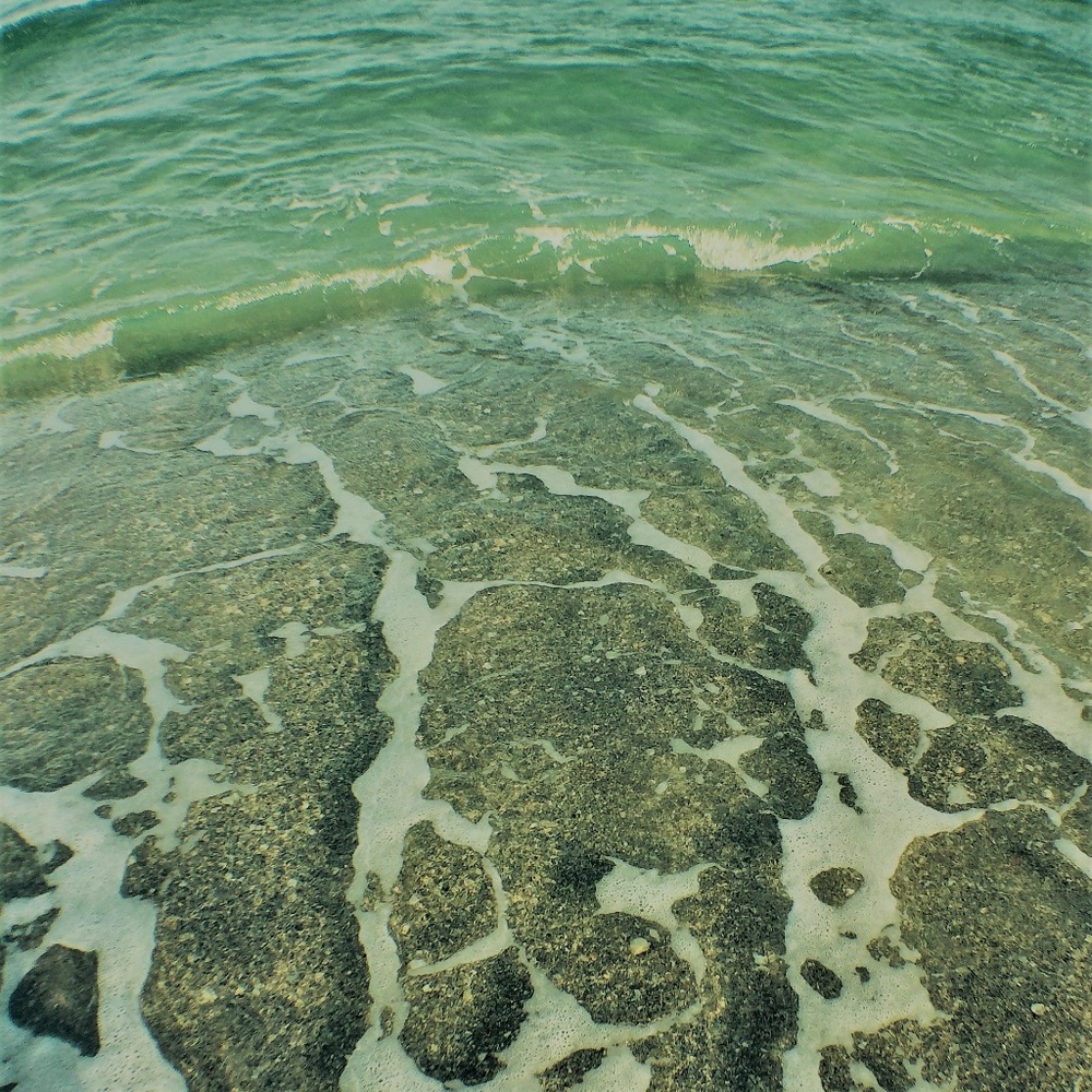 + CALLING ALL OCEAN BABES +